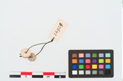 Foto von Kalksteinringperle (NHMW-PRAE-024929)